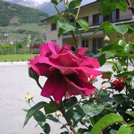 Il Crocevia Teglio