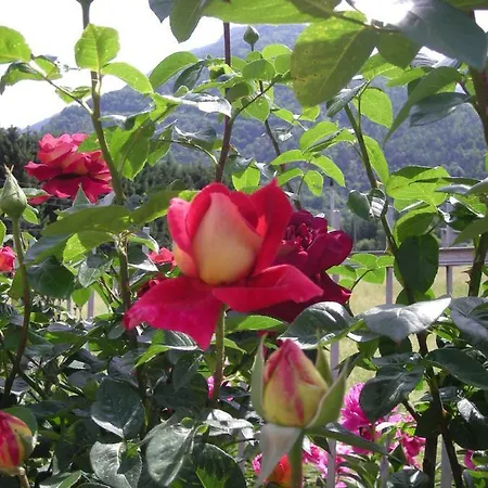 Il Crocevia 3* Teglio